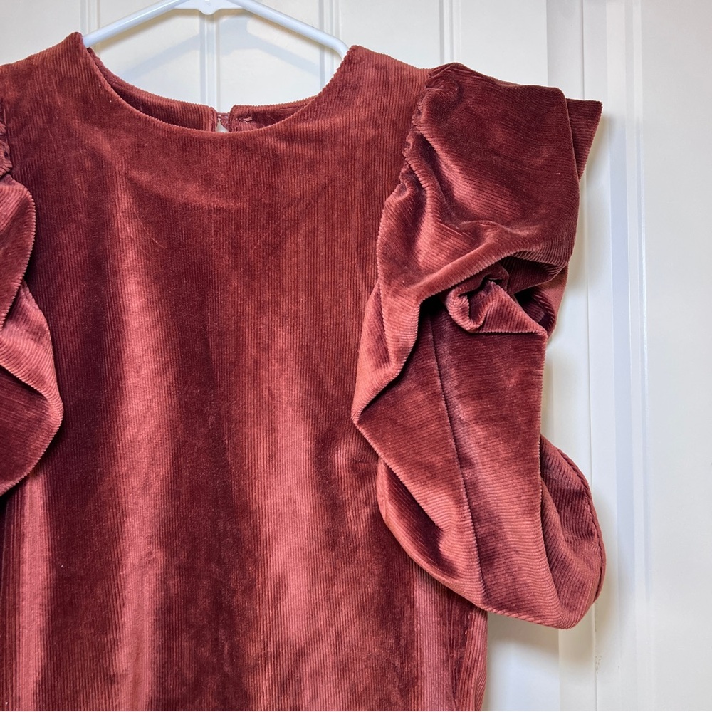 THML Velvet Blouse with Dramatic Ruffle Sleeves - Deep Rust Women’s‎  XS - Picture 3 of 11